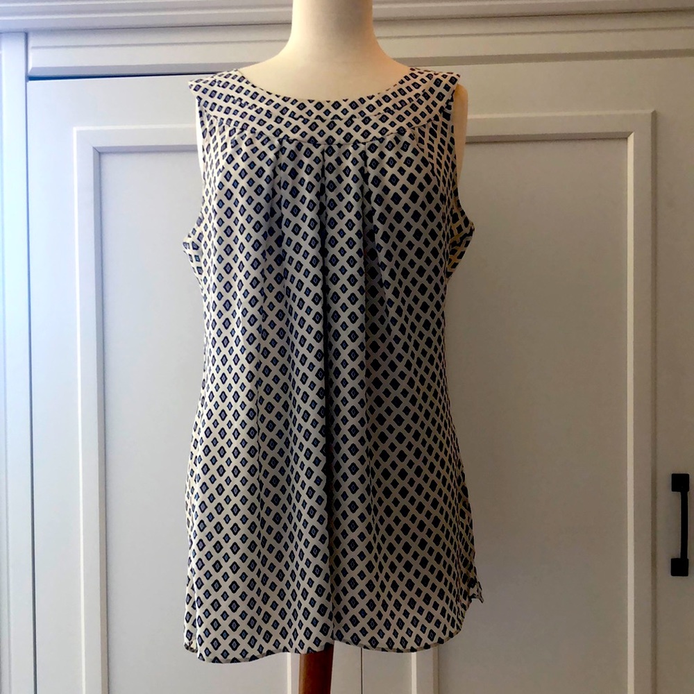 Cabi Cleo Top Blue and White